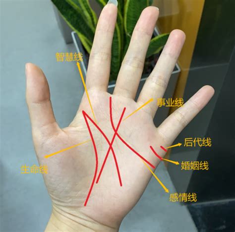 手相中间有三角形 手掌中间有三角形-周易算命网