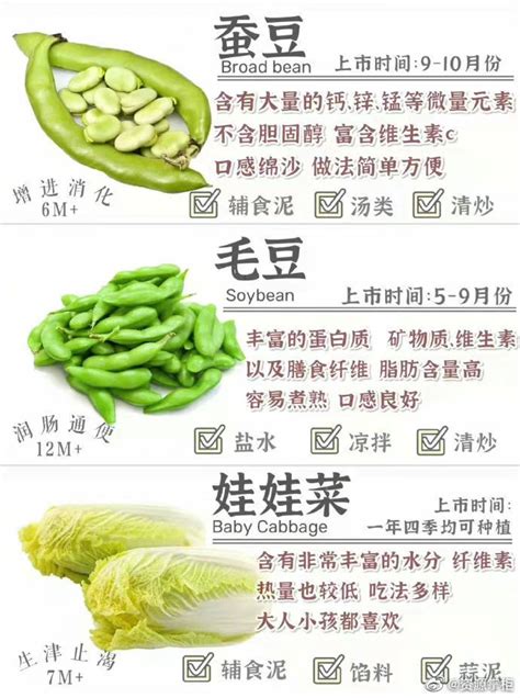 中国各种食物营养成分表_word文档在线阅读与下载_免费文档