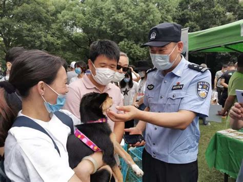 上海警方对违法养犬“现场执法” 2月间累计处罚870余起_社会热点_社会频道_云南网
