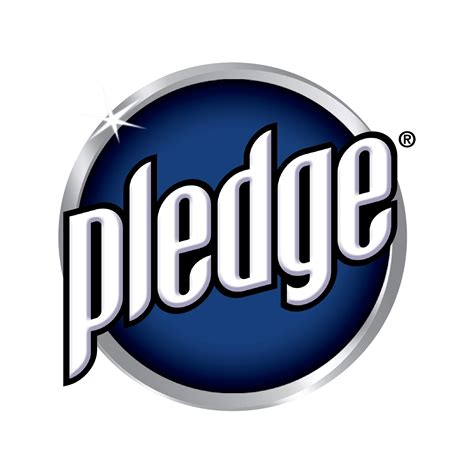 Pledge Revive It Amber & Argan Moisturizing Oil Furniture Spray - Shop ...