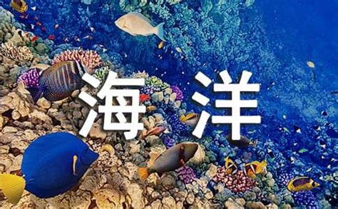 海洋科学专业介绍-青岛科技大学海洋学院
