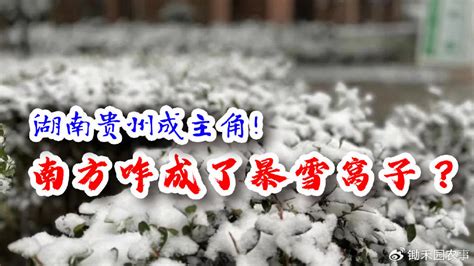 南方暴雪突袭！湖南、贵州迎来紫色大暴雪，降雪量或创纪录|寒潮|暴雪|贵州省_新浪新闻