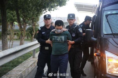 “南京女大学生遇害案”主犯被执行死刑_腾讯视频