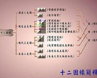 十二因缘图解图片