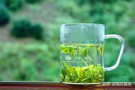 商南白茶的功效与作用 商南白茶的副作用_白茶_绿茶说