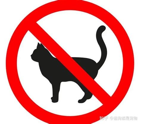 世界名猫排行前50名 世界十大禁养名猫_宠物百科 - 养宠客