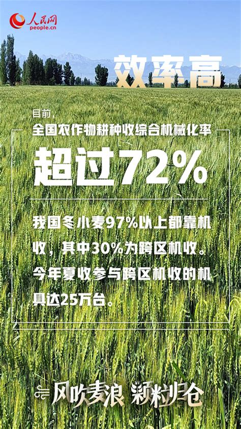 江苏夏粮增产3.9亿斤 占全国增产总量13.6%_我苏网