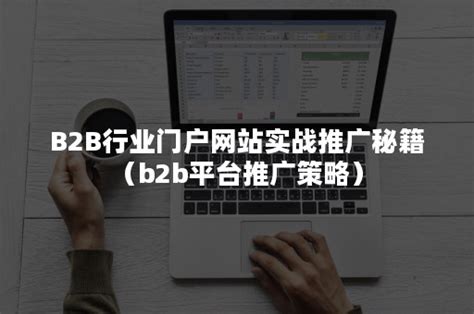 B2B行业门户网站实战推广秘籍（b2b平台推广策略）-悠易科技CDP