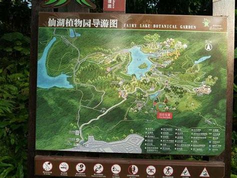 2019深圳徒步路线推荐 最漂亮的7条深圳徒步路线_查查吧