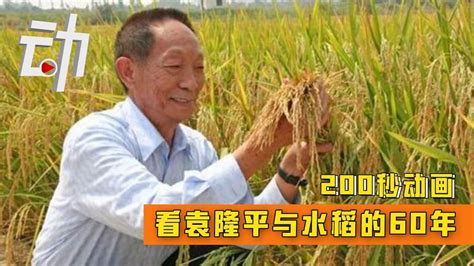 关于水稻，袁隆平还有这样一个心愿_北京日报网