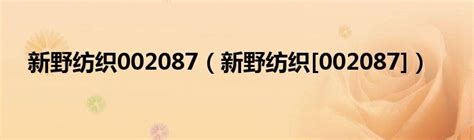 [业绩预告]新野纺织(002087):2022年度业绩预告修正公告- CFi.CN 中财网