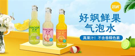 中国十大最畅销饮料排行榜 最畅销的国产饮料有哪些→MAIGOO生活榜