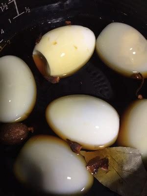【图文】咸鹅蛋的做法_咸鹅蛋的家常做法_咸鹅蛋怎么做好吃_做法步骤,视频_咸鹅蛋-美食天下