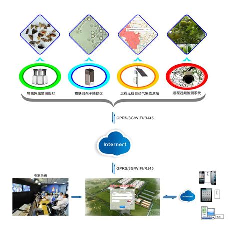 生态监测迈向物联网-国际环保在线