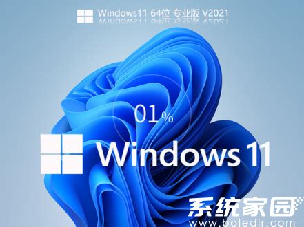 超详细：Windows11正式版小白全新安装教程_软件应用_什么值得买