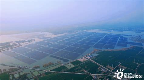 安徽阜阳南部风光储基地650兆瓦光伏项目一期工程全容量并网-国际新能源网