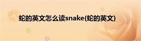 蛇的英文怎么读snake(蛇的英文)_草根科学网