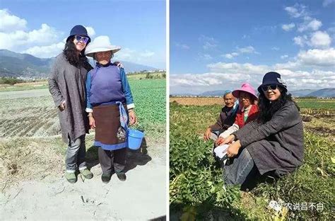 “丰”景再上新：有助农的暖心 有收获的喜悦 -天山网 - 新疆新闻门户