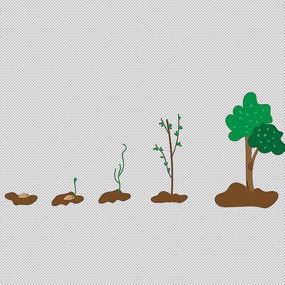 树的成长阶段图,树苗,树木_大山谷图库