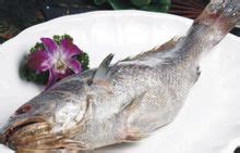 米鱼的功效和作用 米鱼的营养价值与作用-四得网