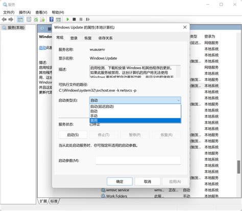 SophiApp软件中文版下载-win11系统优化工具v1.0.87 官方版 - 极光下载站