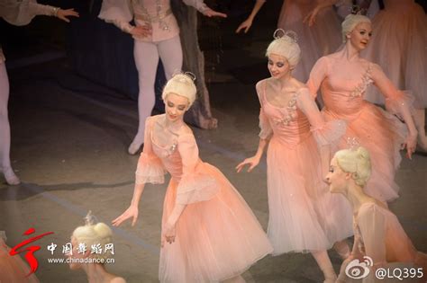 《胡桃夹子》彩排观摩丨小小芭蕾梦，踏出足尖第一步 - 广州大剧院 - 崇真艺客