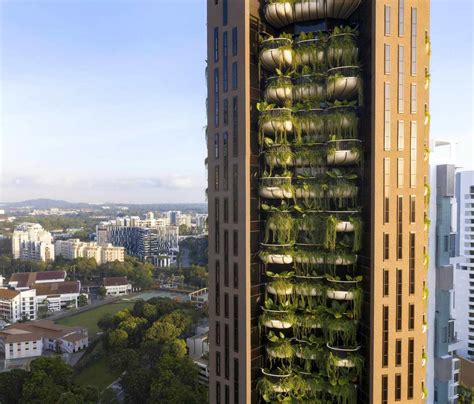 新加坡组屋达士岭：超高密度住宅如何成为宜居天堂_世界之旅