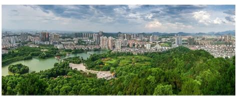 龚向东调研中心城区部分房地产企业项目建设及销售情况 | 中国宜春