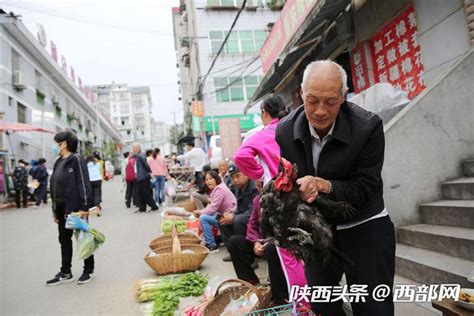 【理坑：买鸡和卖鸡的人