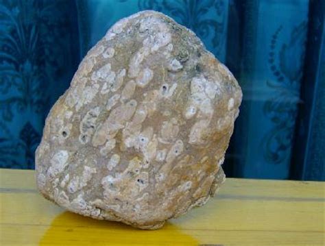 什么样的石头里面有玉？玉石一般出现在什么样的石头里