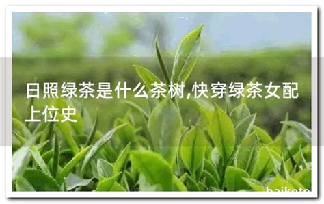 崂山绿茶是什么茶 崂山绿茶的功效与作用