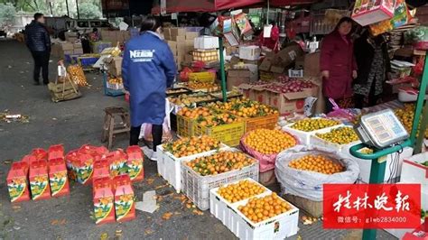 广州水果批发市场在哪里（广州大型水果批发市场） - 尚淘福