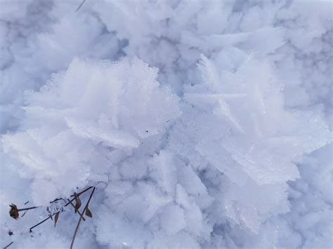 夏雪冬花图片