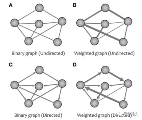 图论在识别人脑网络连通性模式中的应用 - 知乎