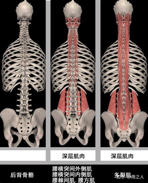 腰椎间盘突出的查体方法。
