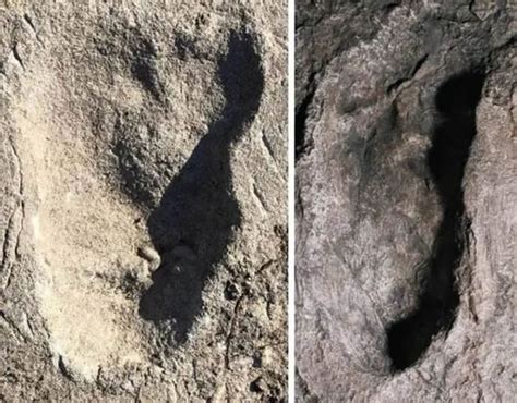 古人也懂开颅 3500年前遗骸，头骨被挖一个洞 - 未解之谜网
