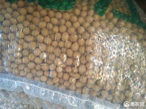 [黑河43号大豆批发]黑河43号 新豆，高蛋白价格2.96元/斤 - 惠农网