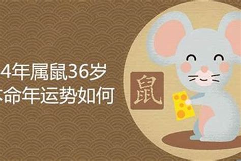 84年属鼠36岁以后的一生命运男_生肖_若朴堂文化