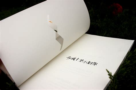 书籍装帧设计《个人设计作品集》|平面|书装/画册|波多野结裕 - 原创作品 - 站酷 (ZCOOL)