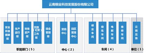 云南铜业科技发展股份有限公司