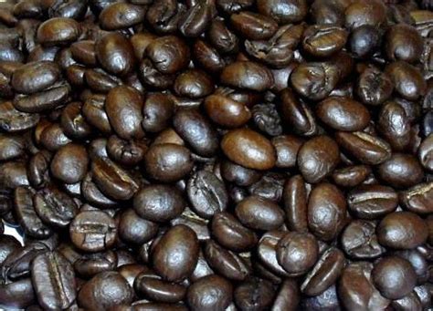 曼特宁咖啡的品种区别（一） | EHS咖啡西点培训学院