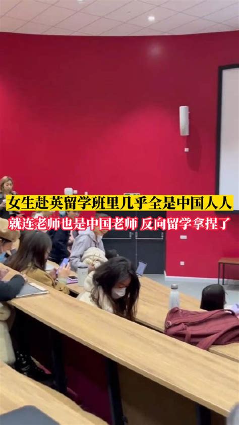 海外课堂上超八成是中国人，“反向留学”值得吗？(含视频)_手机新浪网