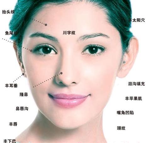 鼻子面相图解图片