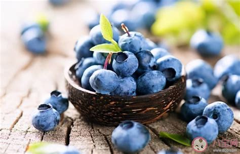 每天吃一盒蓝莓会发生什么 蓝莓品种有什么 _八宝网