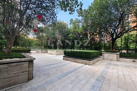 ICEFuturesexchange 的图像结果