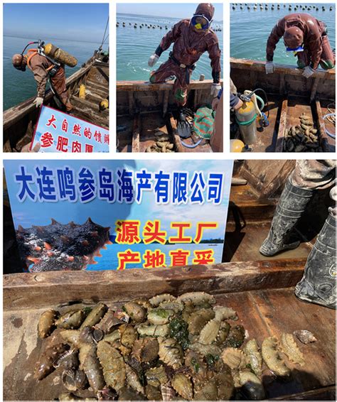 【走向我们的小康生活】山东威海：加快渔业转型升级驶向“深蓝”-山东鑫发控股有限公司