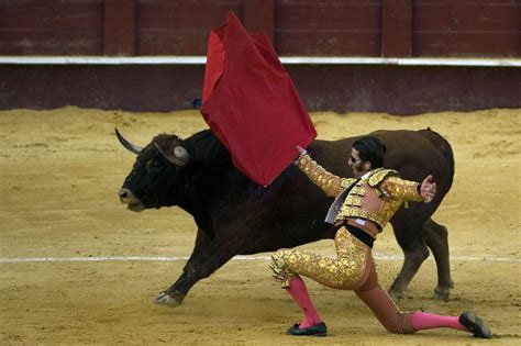西班牙斗牛有什么基本规则与传统习惯呢？ - 知乎