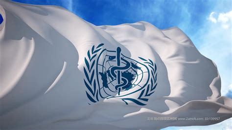 联合国开发计划署为抗击疫情捐助紧急医疗物资(含视频)_手机新浪网