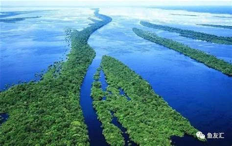 一条河泾渭分明两种颜色，寻找亚马逊河黑白水交汇的奇景|亚马逊|亚马逊河|奇景_新浪新闻