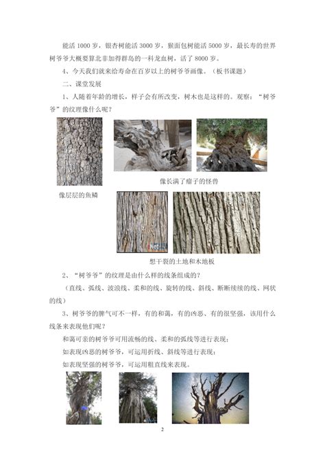 胡杨树的含义和象征意义-农百科